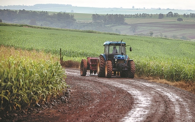 Căng thẳng với Mỹ, Trung Quốc tăng nhập ngô Brazil