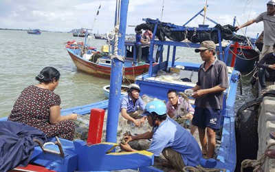 Khánh Hòa sau bão 12: Ngư dân “trúng đậm”, chủ lồng bè trắng tay