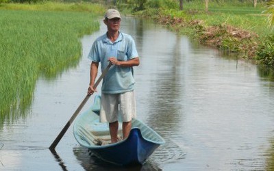 Phớt lờ quy hoạch, người dân tự ý ngập mặn đất lúa để nuôi tôm