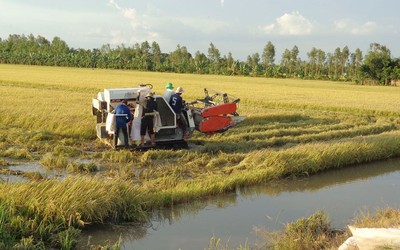 Đối tượng lái máy gặt đập tông 3 ông cháu thương vong ra đầu thú