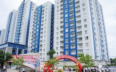 Chủ đầu tư chung cư Carina Plaza chưa đuổi việc ai vì... chờ phán quyết đúng sai