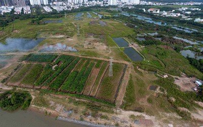 Bán chỉ định đất công giá bèo cho Quốc Cường Gia Lai: Ông Tất Thành Cang có liên đới trách nhiệm