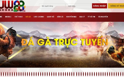 Đá gà trực tuyến tung khuyến mãi "khủng", dẫn dụ người chơi sập bẫy