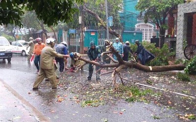 Bão số 9 vào Bà Rịa - Vũng Tàu: Đường phố ngập nặng, cây gãy đổ hàng loạt