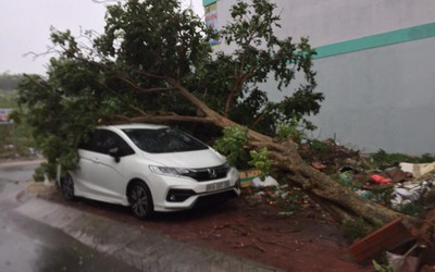 Cảnh tượng tan hoang sau khi bão số 9 càn quét