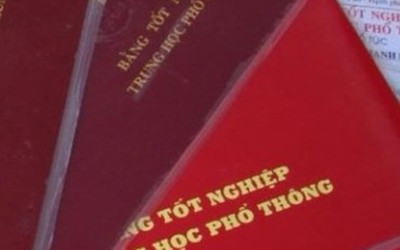 Một trưởng phòng dùng bằng THPT giả để đi học trình độ cao hơn