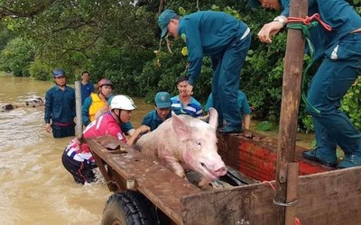 Đồng Nai: Năm giờ vật lộn với nước lũ, giải cứu 6 người dân mắc kẹt ở cù lao