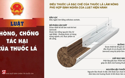 Thuốc lá mới: Cần làm rõ về tác hại của các sản phẩm dựa trên căn cứ khoa học