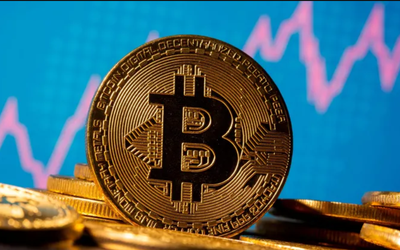 Ark Invest: Giá Bitcoin có thể tăng thêm 500%