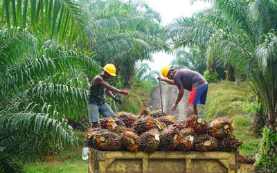 2 quốc gia Đông Nam Á chung tay đương đầu với EU