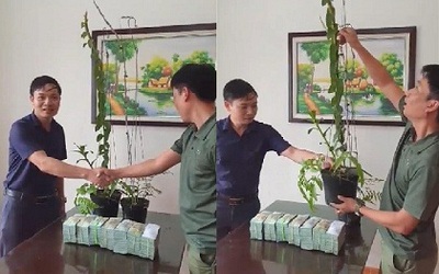 Đại gia Hà Tĩnh chi 3,5 tỷ mua 2 chậu lan: "Cơn sốt" săn lan hiếm hay chiêu trò "thổi giá"?