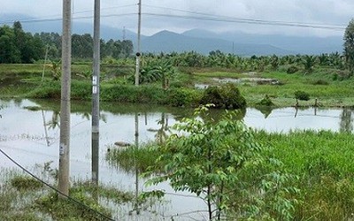 Hà Tĩnh: Nước lũ rút, phát hiện thi thể người đàn ông bên cánh đồng