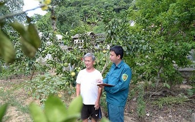 Trưởng thôn 9X ở Hà Tĩnh, vị “thuyền trưởng” của phong trào NTM