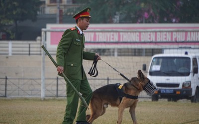 Ngày đầu xét xử vụ nữ sinh giao gà: Chó nghiệp vụ, xe cứu hoả được điều động đến phiên toà