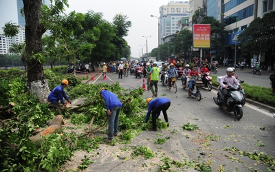 Hà Nội tiếp tục chặt, chuyển 130 cây xanh để làm đường sắt đô thị