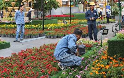 Đường hoa Nguyễn Huệ gấp rút hoàn thiện kịp ngày khai mạc