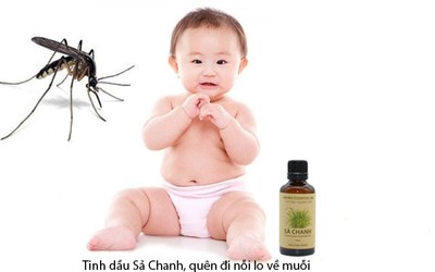 Những loại tinh dầu đuổi muỗi tốt nhất chống virut Zika