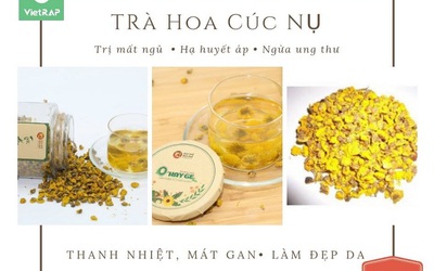 Trà hoa cúc nụ