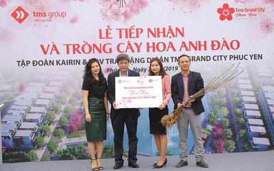 Khởi trồng con đường hoa anh đào đầu tiên tại Phúc Yên