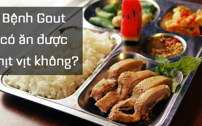 Bệnh gút có ăn được thịt vịt không?