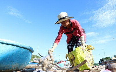 Tâm sự cảm động của người phụ nữ hơn 15 năm tình nguyện nhặt rác ở Vịnh Vĩnh Hy