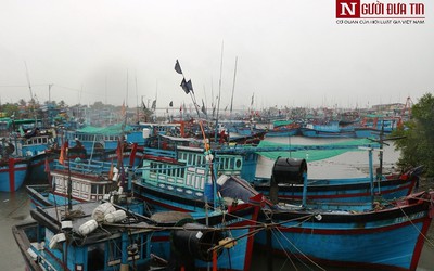 Ninh Thuận: Cấm tàu thuyền hoạt động trên biển, đề phòng bão số 5 đổ bộ