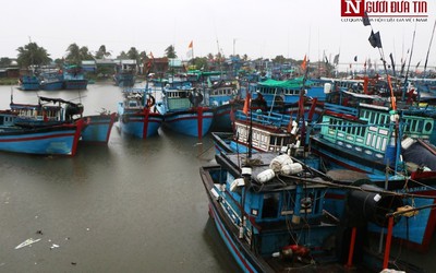 Ninh Thuận: Khẩn trương các phương án đối phó với áp thấp nhiệt đới, đảm bảo an toàn về người và tài sản