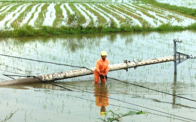 Phú Yên: Khẩn trương khắc phục sự cố đổ trụ điện sau bão số 5