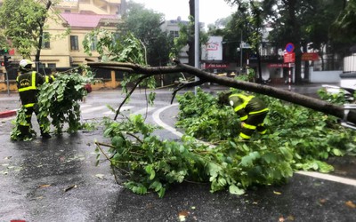 Hà Nội: Hàng loạt cây xanh, cột điện nghiêng đổ do bão số 3