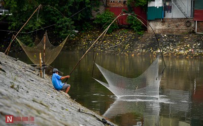 Người dân Thủ đô đổ xô ra sông cất vó, buông cần bắt cá sau mưa bão