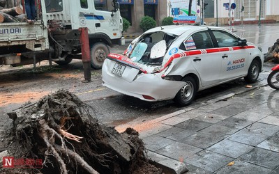 Hà Nội: Cây lớn lại đổ, đè bẹp taxi sau mưa to