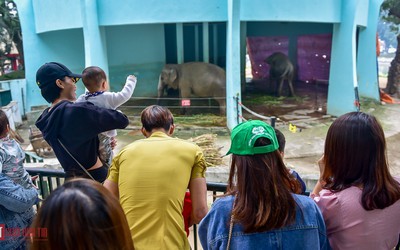 Hàng nghìn người đổ về công viên Thủ Lệ trong dịp nghỉ tết dương lịch 2020