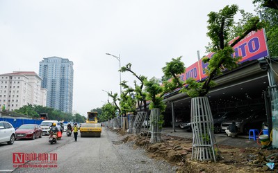 Hà Nội: Hàng chục cây sưa đỏ được trang bị “áo giáp” bảo vệ