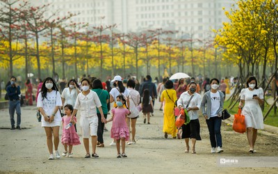 “Biển người" đổ về đường hoa phong linh giữa lòng Thủ đô