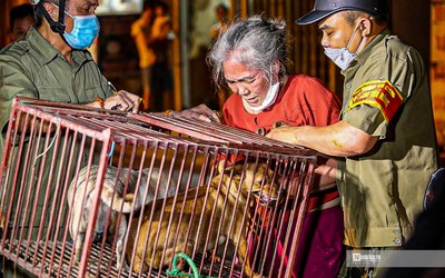 Hà Nội: Thả chó ra đường, chủ nhân ngậm ngùi nộp phạt 1,5 triệu đồng