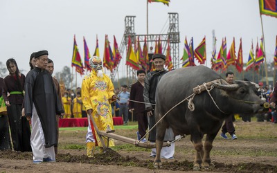 Đầu năm “vua” xuống ruộng đi cày