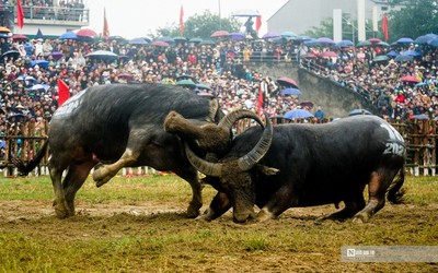 Kịch tính những màn đối đầu của “ông Cầu” ở Vĩnh Phúc