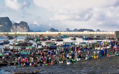 Mãn nhãn với vựa thuỷ sản bậc nhất ở Quảng Ninh