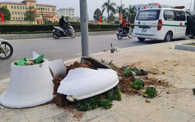 Đâm vào chậu hoa trên vỉa hè, người đàn ông tử vong tại chỗ