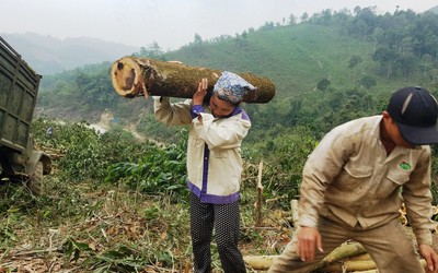 Phận đời nữ “phu keo”!