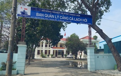 Tham gia đánh bạc, giám đốc cảng cá bị khởi tố, đình chỉ công tác