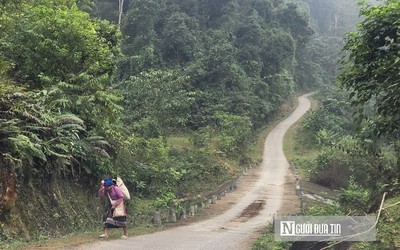 Bản nghèo “gánh” điện giá cao, dân vướng “lao lý” vì 72 cây gỗ tạp