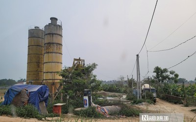 Trạm trộn bê tông, cây dầu “mọc” trên đất lúa và nhà máy gạch