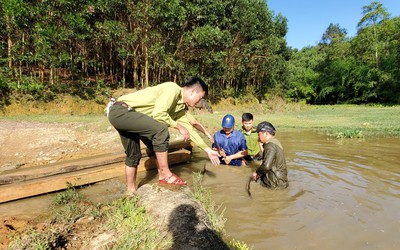 Chặt cây rừng về làm quan tài, 2 hộ dân bị phạt 10 triệu đồng