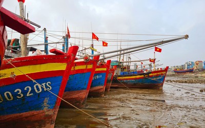 Thanh Hóa: Xử lý nghiêm tàu cá vi phạm quy định về IUU