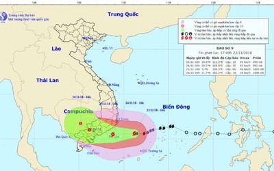 Chiều nay, bão số 9 vào biển từ Ninh Thuận đến Bến Tre, TP.HCM sơ tán nhiều hộ dân