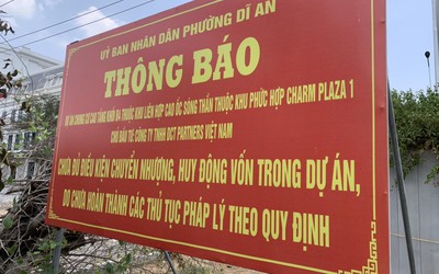 Sở Xây dựng Bình Dương cung cấp thông tin nhiều dự án bất động sản