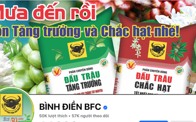 Tp.HCM: Công ty Phân bón Bình Điền bị phạt và truy thu thuế