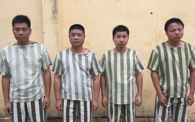 Bắt giữ nhóm đối tượng người nước ngoài tổ chức chơi mạt chược trong công ty