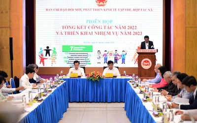 Lợi nhuận bình quân của các hợp tác xã tăng hơn 70% trong năm 2022